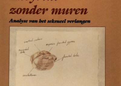 Publicatiereeks Homostudies Utrecht: Lex van Naerssen. Labyrint zonder muren. Analyse van het seksueel verlangen. 1989